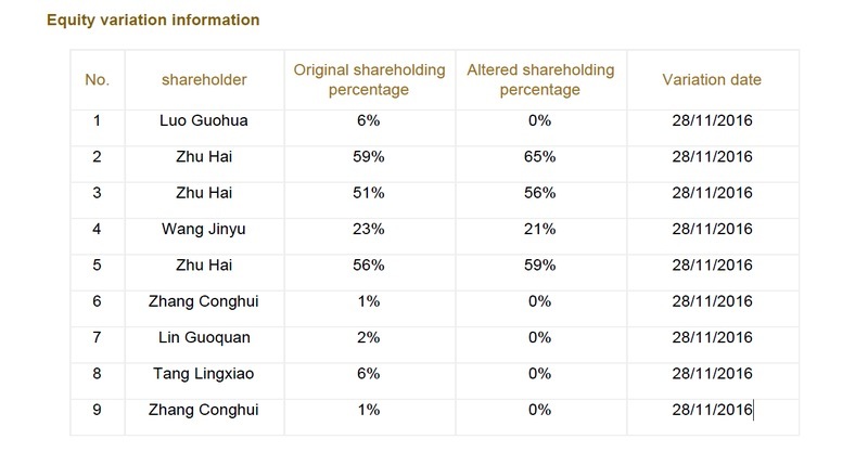 China company search annual equity variation information sample