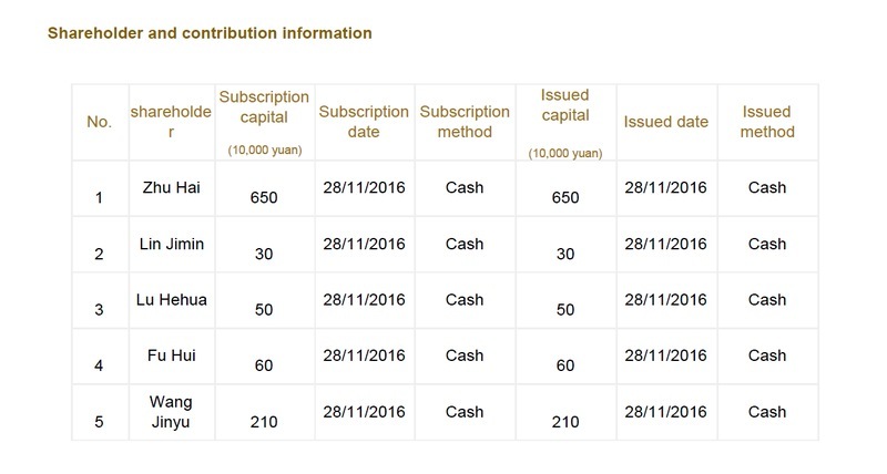 China company search annual report shareholders sample